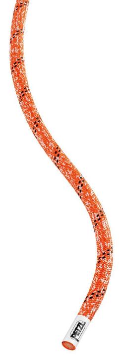 Actual product image Petzl CLUB+ 10 mm (200 m)