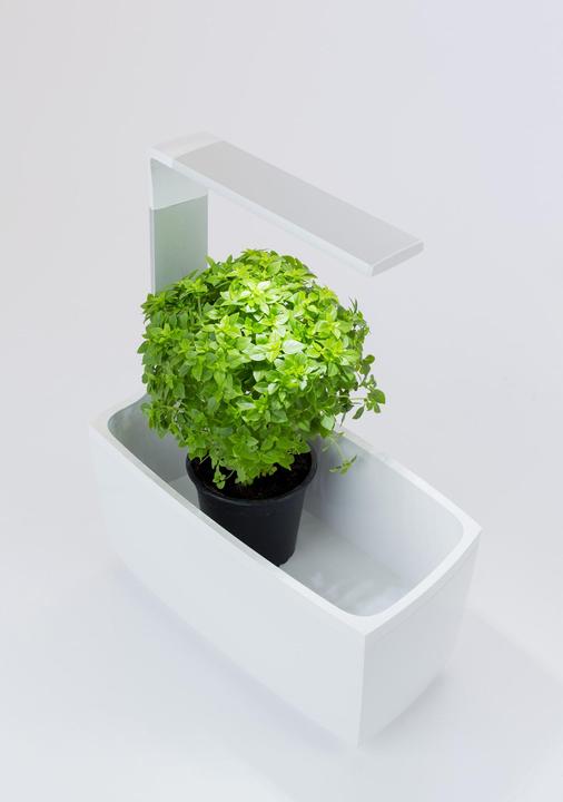 Image du produit Tregren Pot d'herbes T6 (34.50 cm)