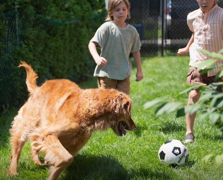 Actual product image LitterLocker PetGenie (Dog)