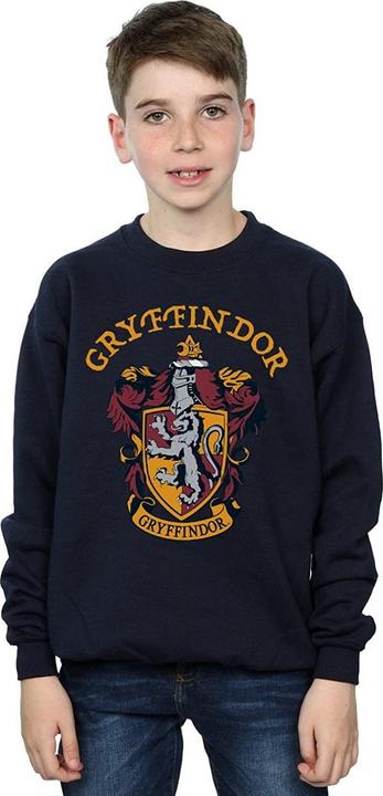 Immagine prodotto Felpa in cotone Gryffondor per ragazzi (140, 146)