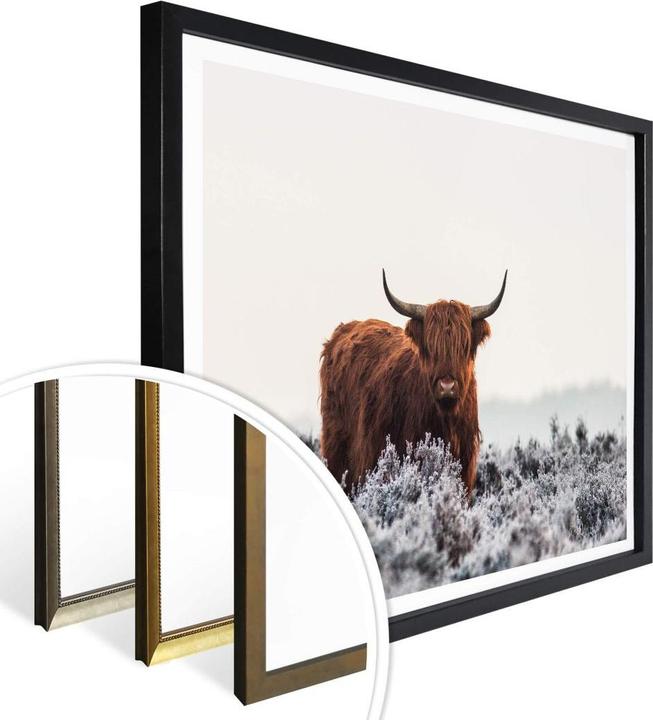 Immagine prodotto Trenddeko van den Helm - Highlander (30 x 24 cm)
