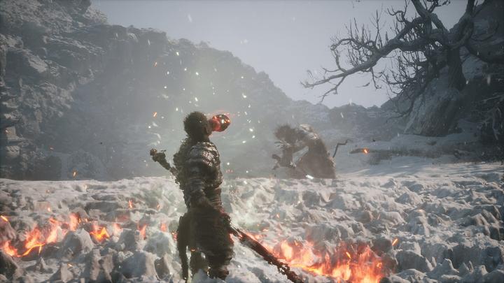 Produktbild Sony Black Myth: Wukong (PS5) (PS5)
