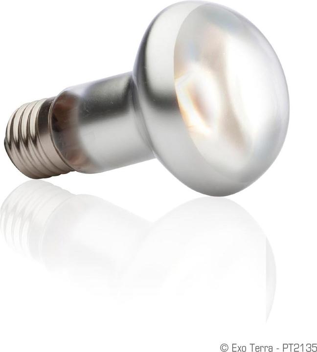 Image du produit Exo Terra Sun Glo Heat Spot Lamp TB 50W (UVA)