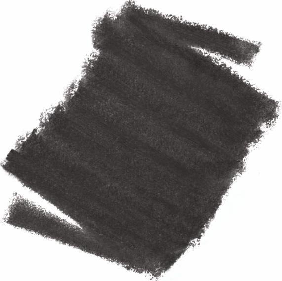 Image du produit Chanel STYLO SOURCILS waterproof #812-ebène 0,27 gr (Ebène)