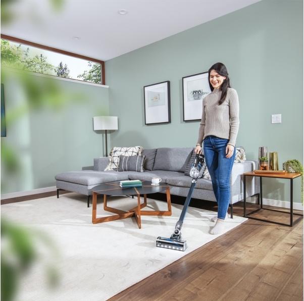 Image du produit Bissell Icône Turbo