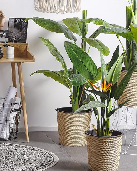 Produktbild Beliani Strelitzia Tree (115 cm)