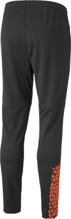 Actual product image Puma individualCUP Training Pants (S)