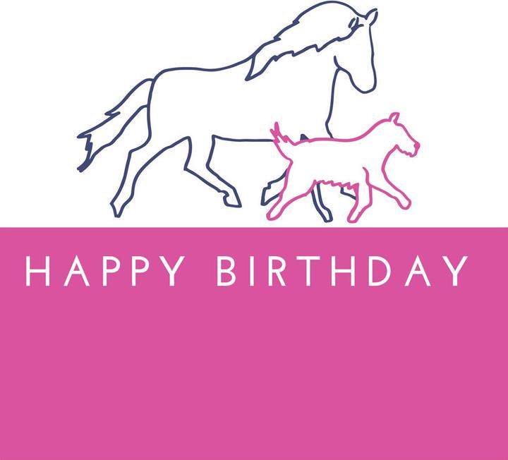 Image du produit Gubblecote - Carte de voeux PERFECT AS A PONY (1 pcs)