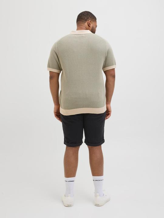 Actual product image Jack & Jones Jpstdave Jjchino Shorts Sn Akm Pls (48)