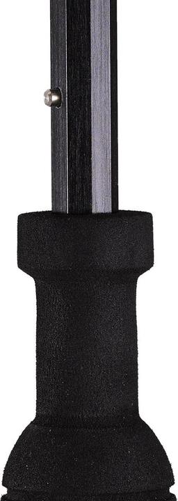 Image du produit Euroschirm birdiepal octagon