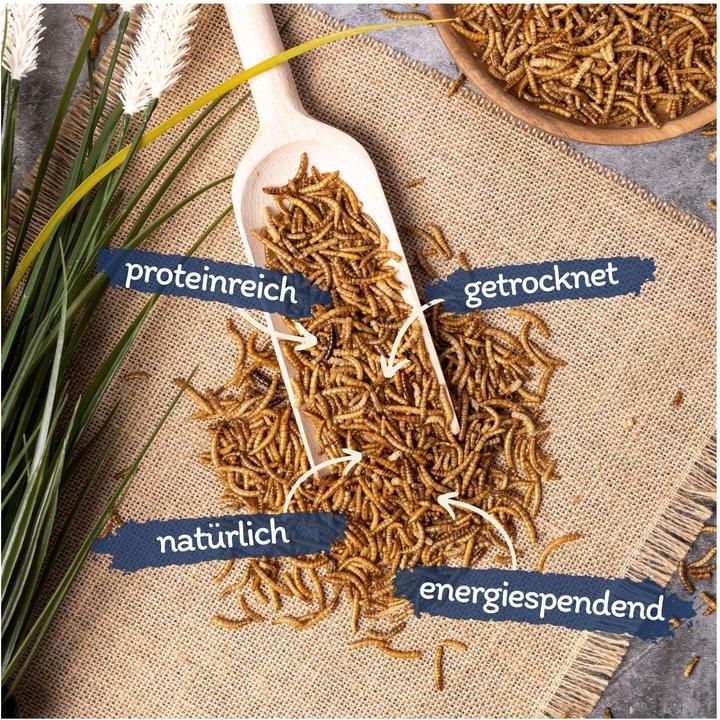 Produktbild Lyra Pet Mehlwürmer getrocknet (10 kg, 1 x)