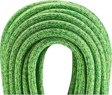 Actual product image Edelrid Boa Gym 9.8 Climbing rope (50 m)