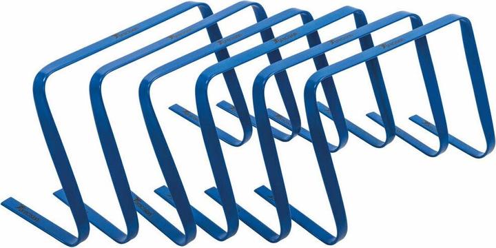 Precision Flache Hürden 6erPack