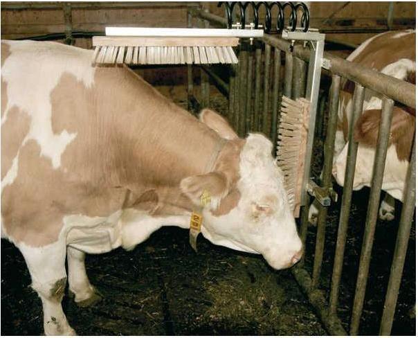 Produktbild Kerbl Ersatzfeder zu Viehbürste TEXAS