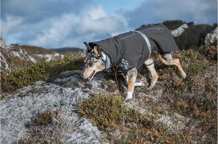 Actual product image Hurtta Winter coat Extreme Warmer wine red, 40 (S, Dog coat)