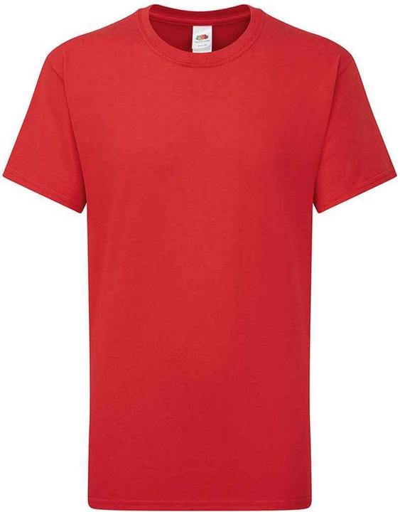 Fruit of the Loom Iconic 195 Premium TShirt