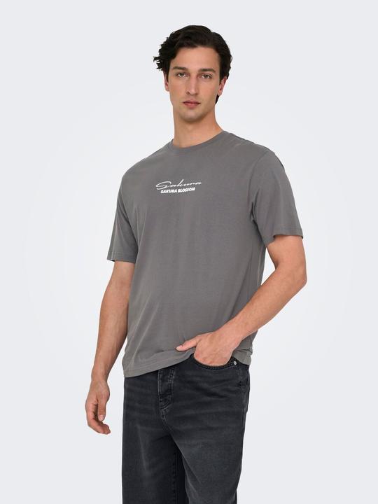 Produktbild Only & Sons Onskeane Rlx Ss Print Tee Noos (XXL)