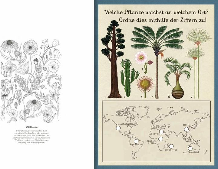 Produktbild Das Museum der Pflanzen. Mein Mitmachbuch (Deutsch, Katie Scott, Kathy Willis, 2017)