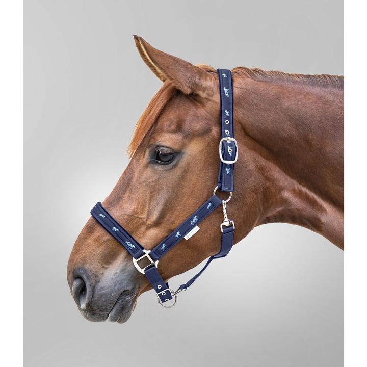 Immagine prodotto Waldhausen Testa per cavallo con decorazione di piccoli cavalli