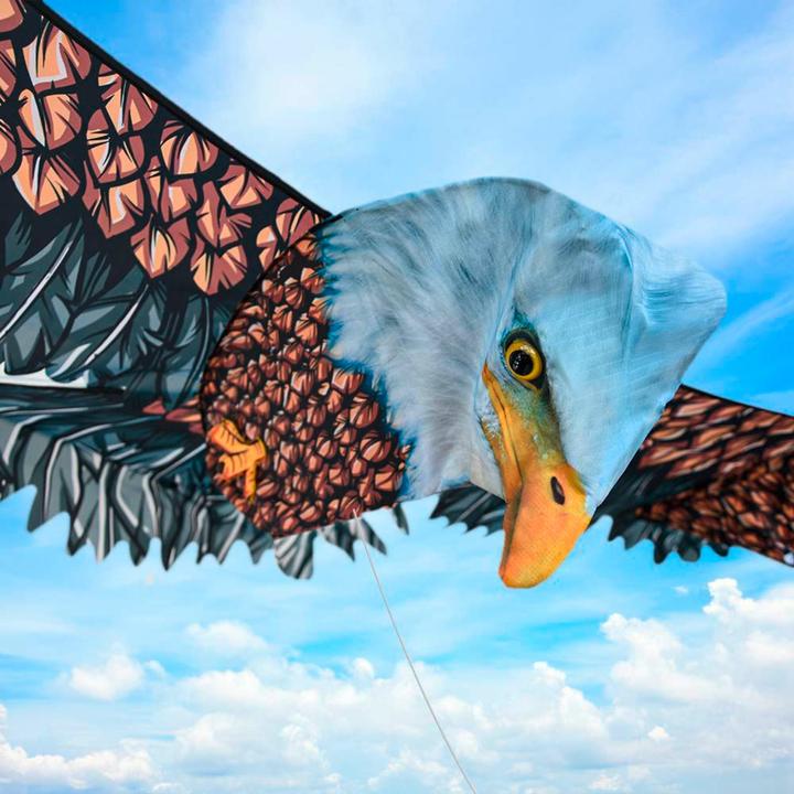 Produktbild Mikamax 3D Eagle Kite