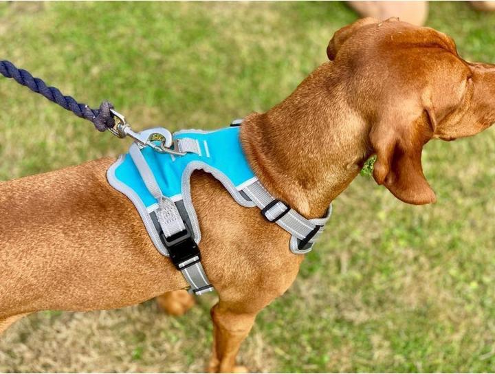 Image du produit Henry Wag Harnais pour chien Voyage (L, Chien, Général)