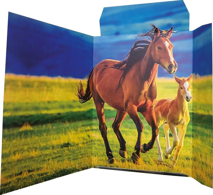 Actual product image Rnk Publisher Drawing Case DIN A3 Horses (A3, 1 x)