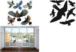 Actual product image HERMA Warning birds stickers