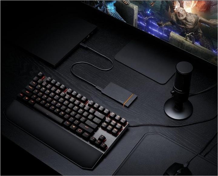 Actual product image Seagate FireCuda Gaming SSD (1000 GB)
