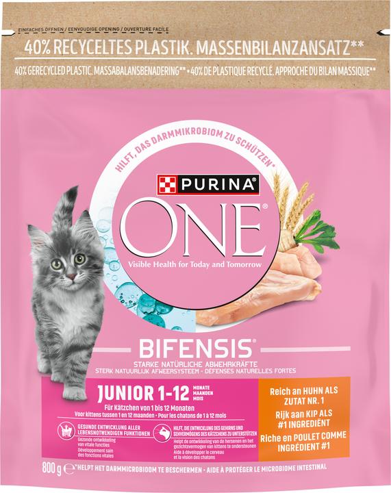 Purina ONE Dried fodder (Junior, 1 pcs., 800 g)