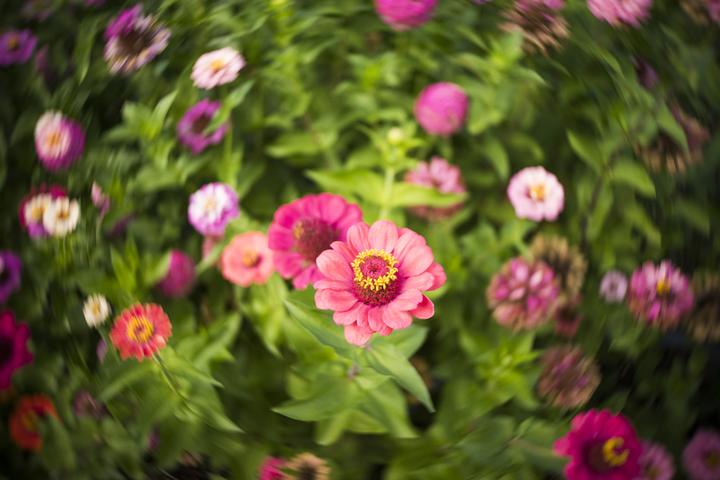 Image du produit Lensbaby Trio 28 Fuji X (Fujifilm X, Micro Four Thirds, APS-C / DX, Plein format)