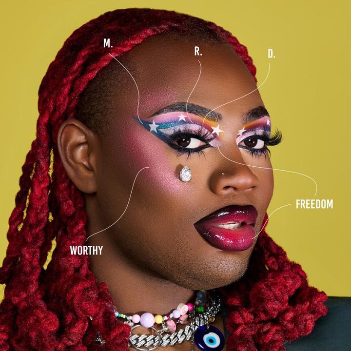 Actual product image Danessa Myricks Pride Palette Love Is Love (Love is Love)