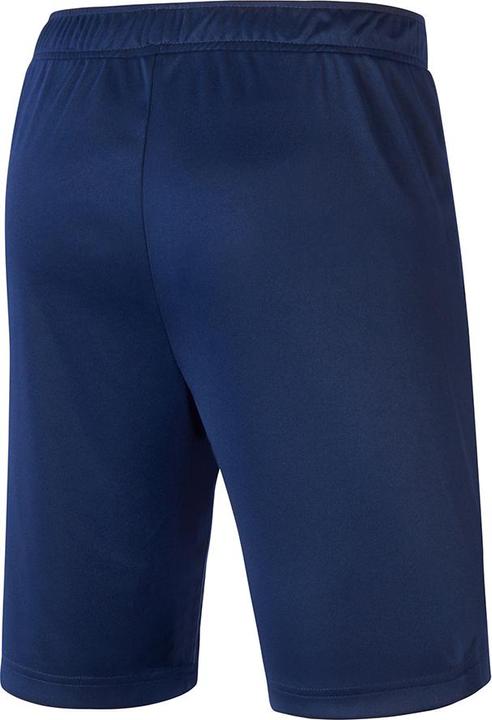 Actual product image Mizuno Nara Trainng Short (4XL)