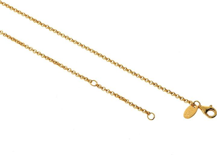Immagine prodotto Xen Collana cimelio lunga 42-45 cm in argento 925 placcato oro giallo (Argento 925, 42 - 45 cm)