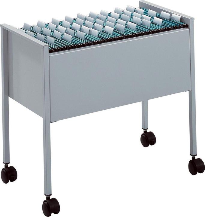 Immagine prodotto Durable Economia di Folderboy (A4)