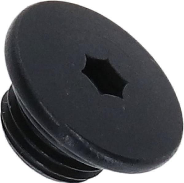 Actual product image Shimano Bleed screw STR7020 O-ring