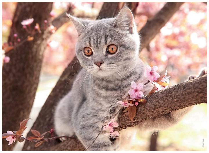 Immagine prodotto Ravensburger Piccoli gatti (1000 pezzi)