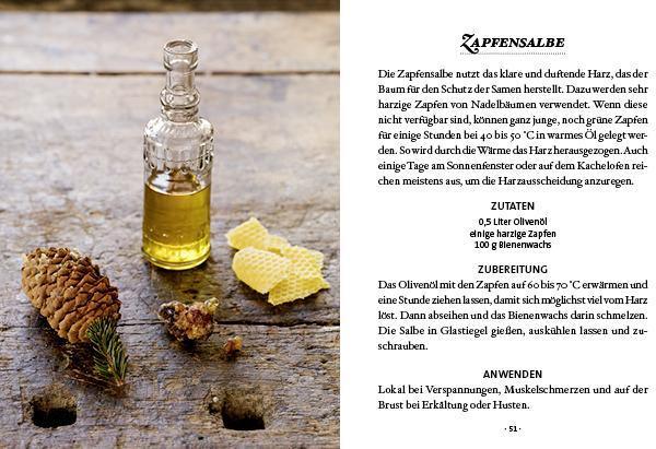 Actual product image Das kleine Buch: Harz- und Pechsalben (German, Karin Buchart, 2023)