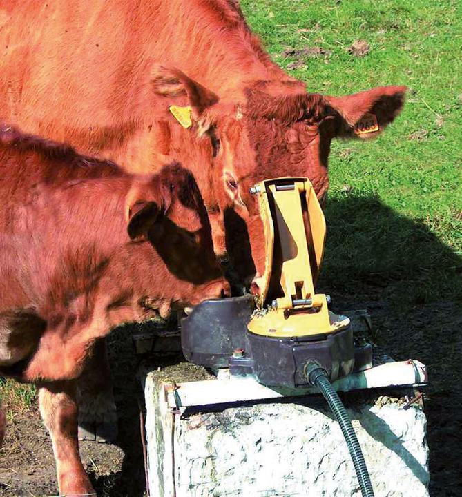 Actual product image Magni Kerbl pasture pump Aquamat II MK for dairy cows & calves