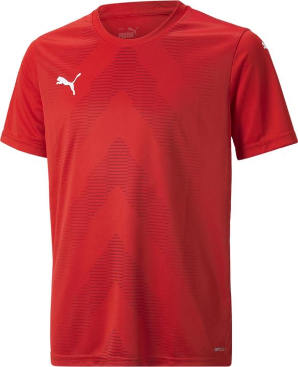 Puma teamGLORY Jersey Jr (128)