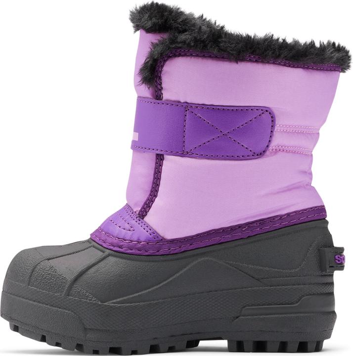purple violet, Gumdrop