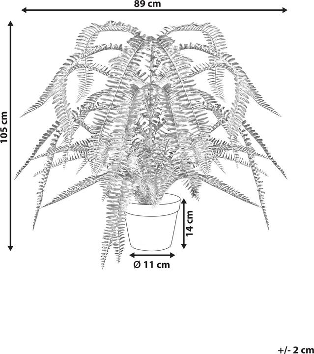 Produktbild Beliani Fern Leaf Plant (105 cm)
