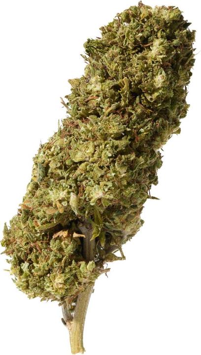 Actual product image Herba di Berna Watermelon Outdoor 45g (45 g, Outdoor)