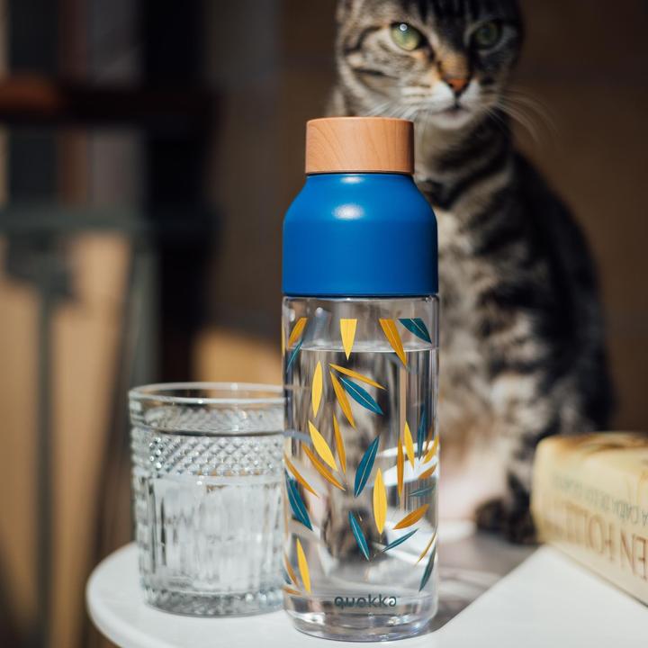 Immagine prodotto Quokka Ghiaccio 720 ml - Bottiglia da bere (0.72 l)