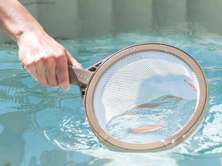 Actual product image Intex Spa cleaning set