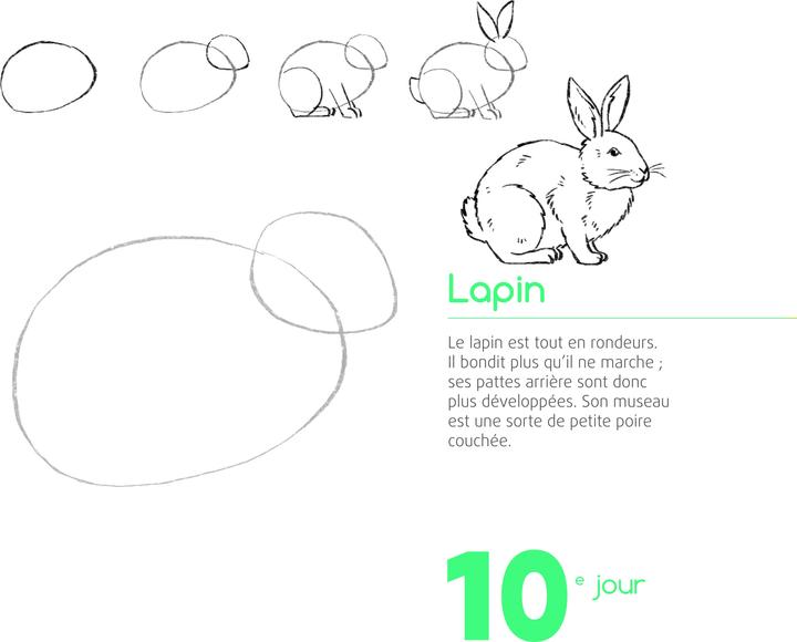 Image du produit 365 motifs de dessin pour chaque jour