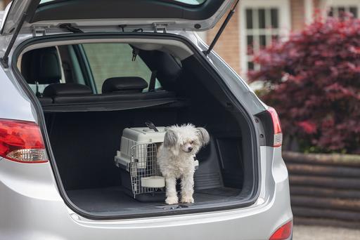 Actual product image Karlie Nomad (Cat, Dog, Lockable)