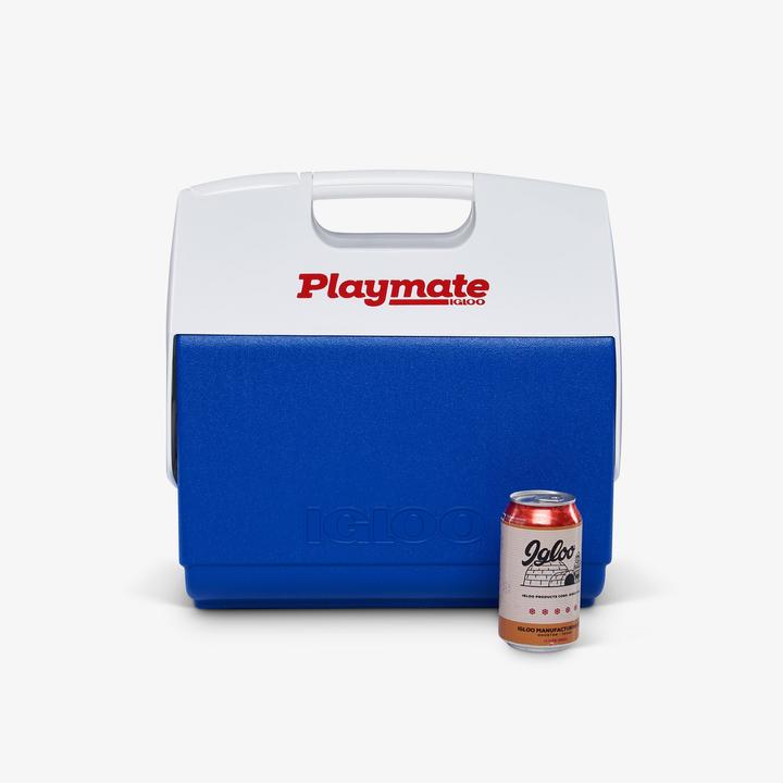 Produktbild Igloo grosse Betreuer-Eisbox (15.20 l)