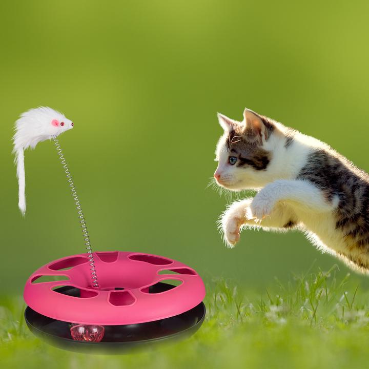 Actual product image Relaxdays Cat Toy with Mouse