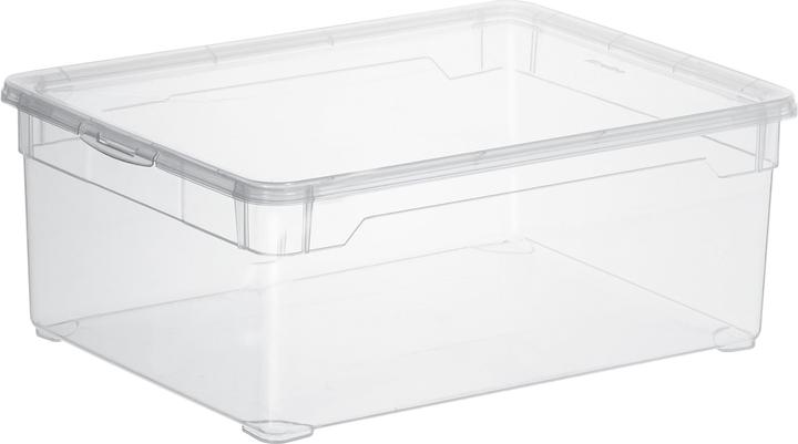 Immagine prodotto Rotho Cancella (36 x 26 x 14 cm, 10 l)