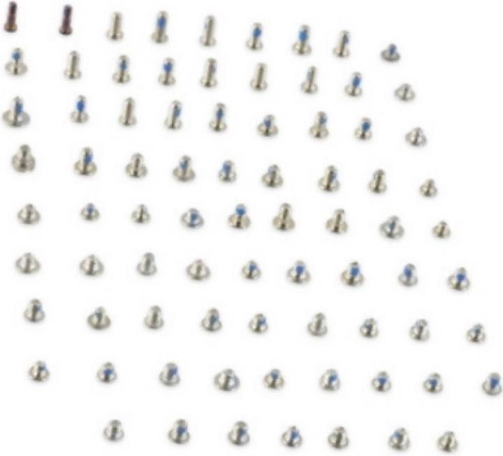 Actual product image Foxconn iPhone 6S Plus Complete Replacement Screw Set Pentalobe Screw Set (Tool, IPhone 6S Plus)